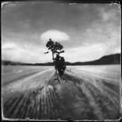 Landscape by Erlend Enger