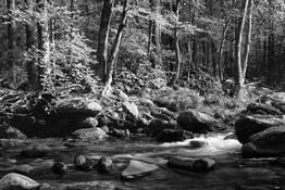 Babble by Errick L. Cameron