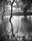 Ripples by Jess Hardcastle