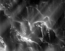 Morning Light by Louise Bartels