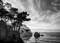 Point Lobos Northshore by Marilyn Verducci