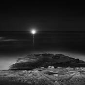 Dark cCast #2 by Sugoto Mukherjee