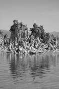 SW Deserts-6 by William L. Witmer