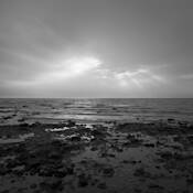 Angel by Jerry Basierbe