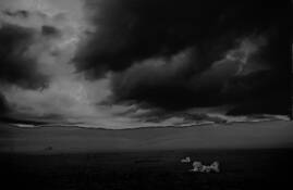 Storm Over the Ngorogoro Crater by Albert Zabin