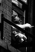 Doggie in the Window by Art Shay