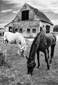 Barn #2 by Gerren F. Keith
