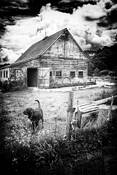 Barn #5 by Gerren F. Keith