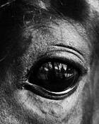 Inner Life by Herminio Alberti
