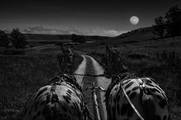 Moonlight Ride by Mary Aiu