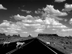 Navajo Nation by Marilynn Waters