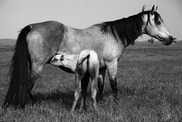 Zeroing In by Marshall Gould