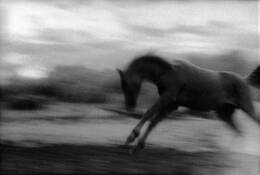 Breaking Free by Patricia Ramaer