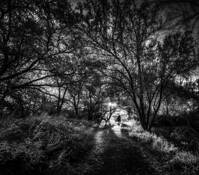 The Wanderer by Bob Baker