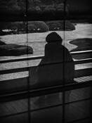 Japanese Gardens by David R. Kosiur