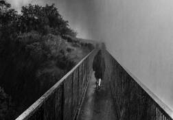 Going to See the Falls by Don Bierman