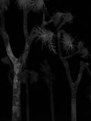 Image 7 by Tracy Brown