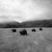 Fog Clearing on the Mattole by William S. Pierson