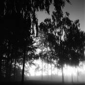 Area 2232 II by Wolfgang Kunerth