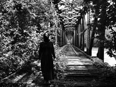 The Acceptance by Curtis Salonick