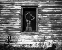 The Concealment by Curtis Salonick