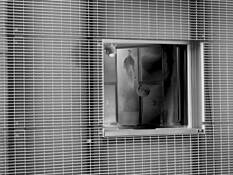 Caught on Cam by David Pantuso