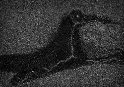 Bird 2 by Don Russell