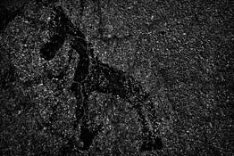 Horse by Don Russell