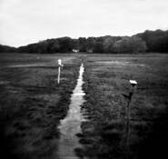 While You Were Gone... by Zachary Schindler