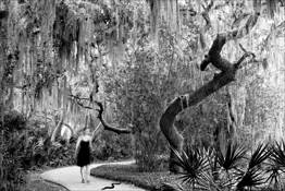 Slither by Heidi Temple