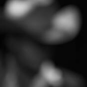 Dave Alvin by John Huffman