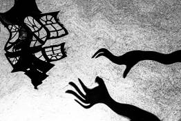 Surrealism by Luis Fernando Tozzi Spinardi