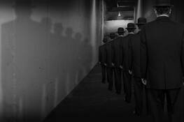 The Lineup by Marvin J. Gerstein