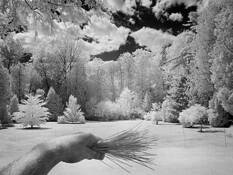 Brush Tool by Nash Lawrason