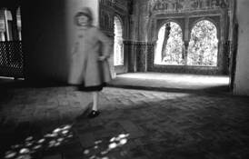 La Alhambra by Ricardo Cuadros