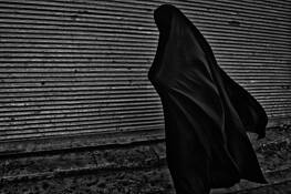 Persian Zephyr by Robert Fischer