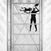 Curiosity by Yiye Teng