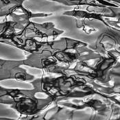 Ocean Pattern by Angela Cameron
