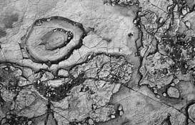 Eye of the Mudflat by Ari Plosker