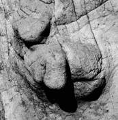 Old Man in Stone by Chuck Snow
