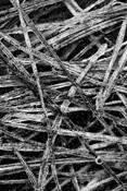 Natural Geometries #4 by Jane Yudelman