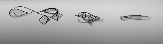 Reflections by Ray Kingsbury