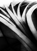 Steel Decoration by Richard V. Bava