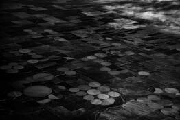 Crop Circles by Willow Brown