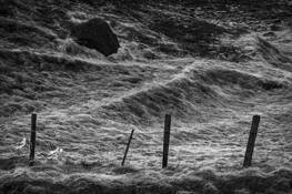 Rock in the Field by Bernard Werner