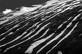 Zebra Country by Bernard Werner