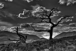 Untitled 4 by Devon Chambers