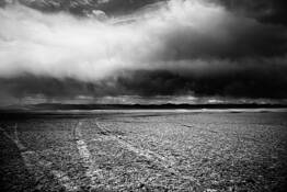 Tracks on Alvord by Jan Pedersen