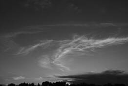 Sky Feathers by Bruce J. Nichols