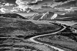 Road by Juan J. Pucci